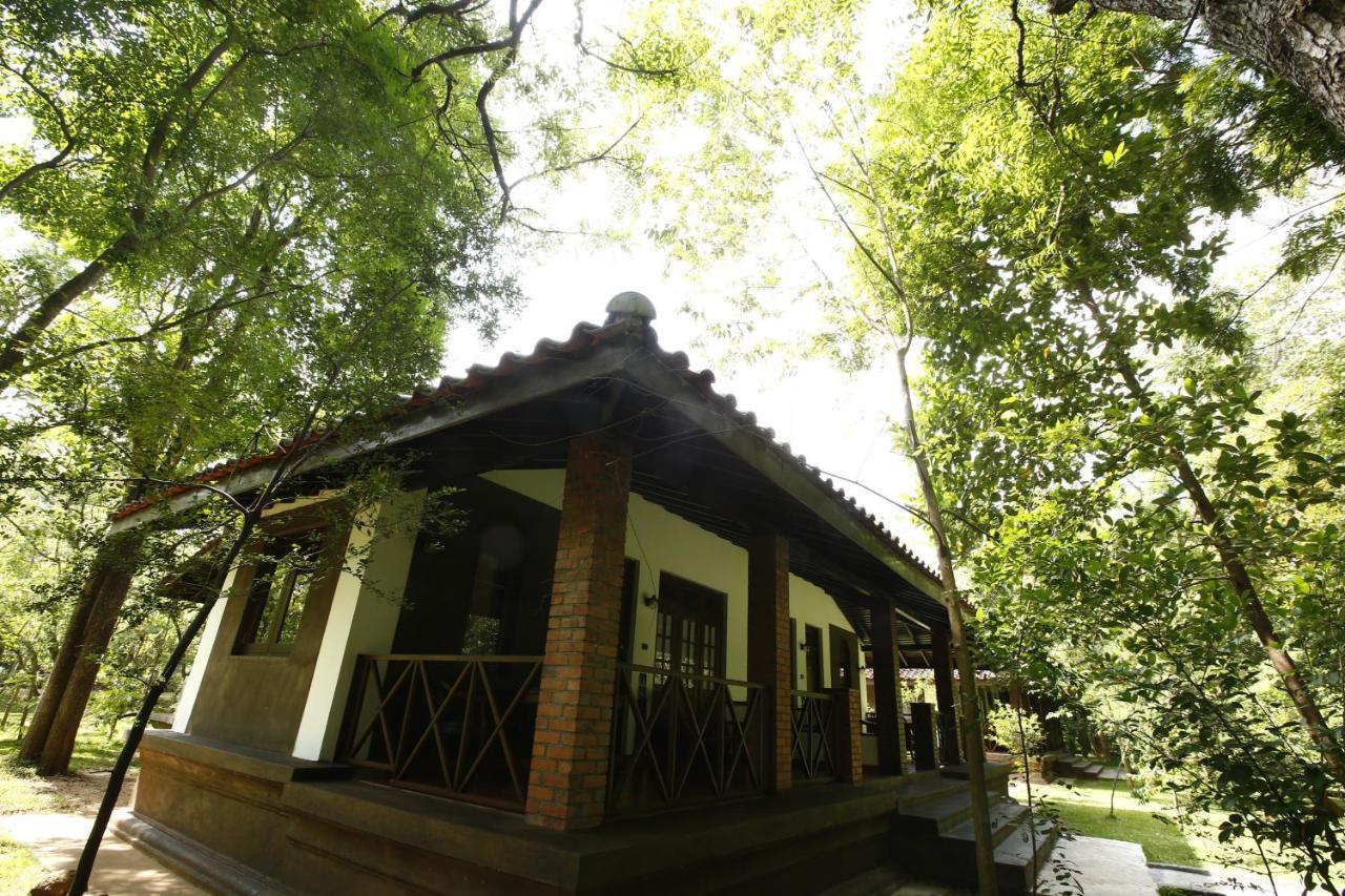 Palm Garden Village Hotel Anuradhapura Esterno foto